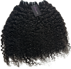 Burmese Curly 3 Bundle Deal