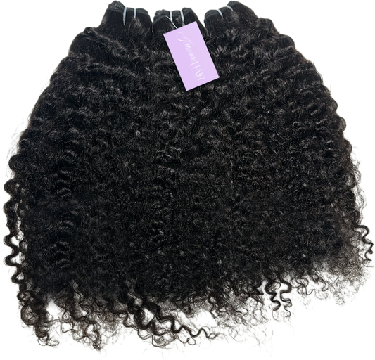 Burmese Curly 3 Bundle Deal